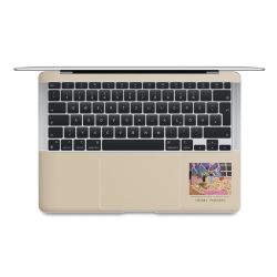 Foils for Laptops matt