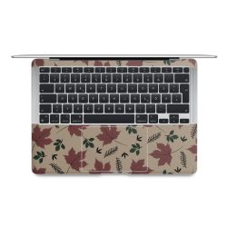 Foils for Laptops matt