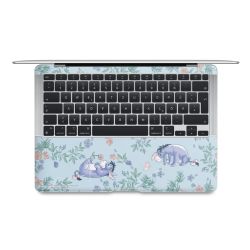 Foils for Laptops matt