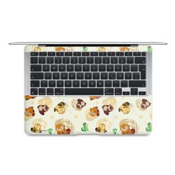 Foils for Laptops matt