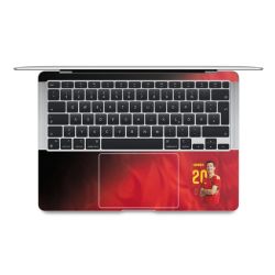 Foils for Laptops matt