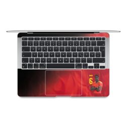 Foils for Laptops matt