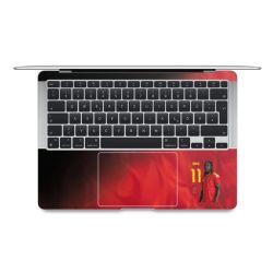 Foils for Laptops matt