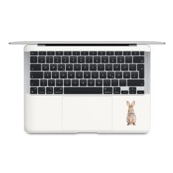 Foils for Laptops matt