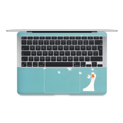 Foils for Laptops matt