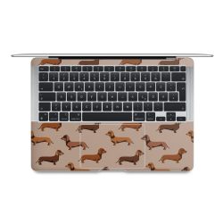 Foils for Laptops matt