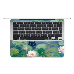 Foils for Laptops matt