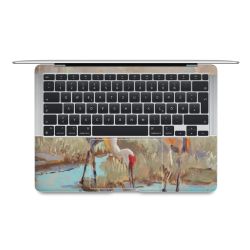 Foils for Laptops matt