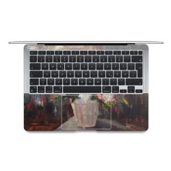 Foils for Laptops matt