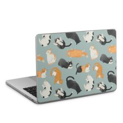 Foils for Laptops matt