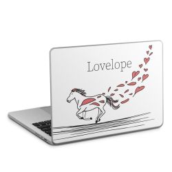 Foils for Laptops matt