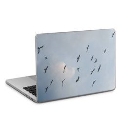 Foils for Laptops matt