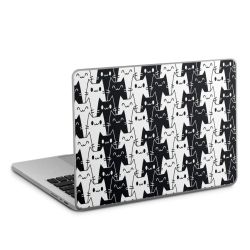 Foils for Laptops matt