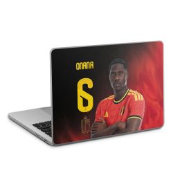 Foils for Laptops matt