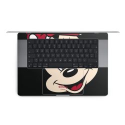 Foils for Laptops matt