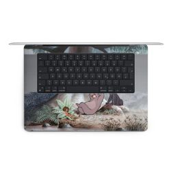 Foils for Laptops matt