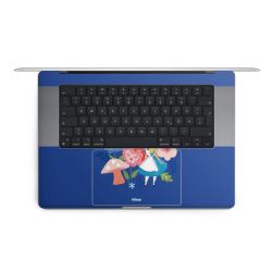 Foils for Laptops matt