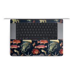 Foils for Laptops matt