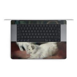 Foils for Laptops matt