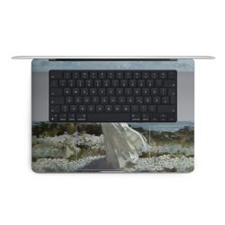 Foils for Laptops matt