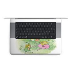 Foils for Laptops matt