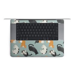 Foils for Laptops matt