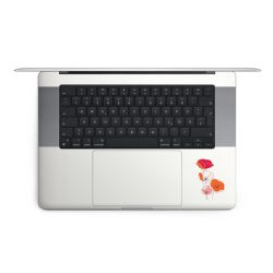 Foils for Laptops matt