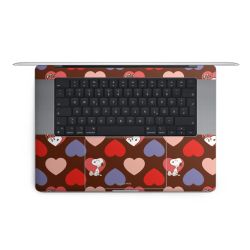 Foils for Laptops matt