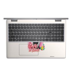 Foils for Laptops matt