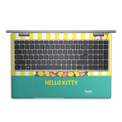 Folien für Laptops matt