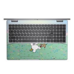 Folien für Laptops matt