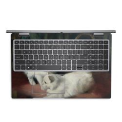 Foils for Laptops matt