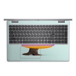 Foils for Laptops matt