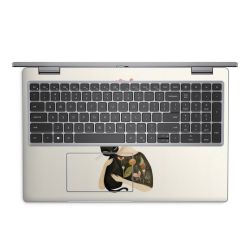 Foils for Laptops matt