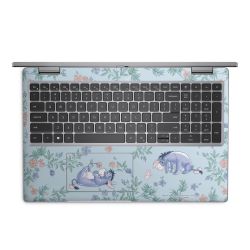 Foils for Laptops matt