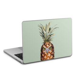 Pineapple Owl