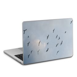 Foils for Laptops matt