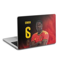 Foils for Laptops matt