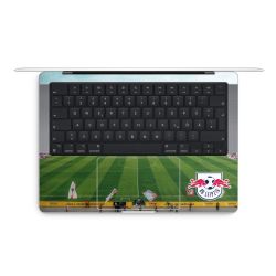 Foils for Laptops matt