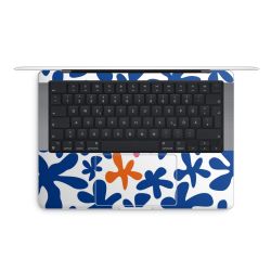 Foils for Laptops matt