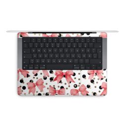 Foils for Laptops matt