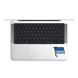 Folien für Laptops matt