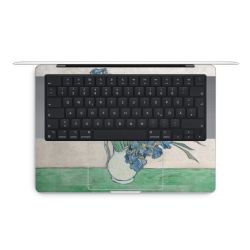 Foils for Laptops matt