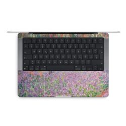 Foils for Laptops matt