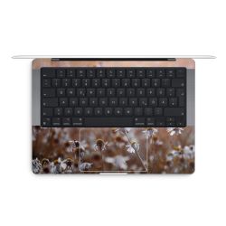 Foils for Laptops matt