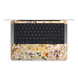 Foils for Laptops matt