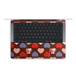 Foils for Laptops matt