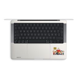 Foils for Laptops matt