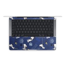 Foils for Laptops matt