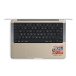 Foils for Laptops matt